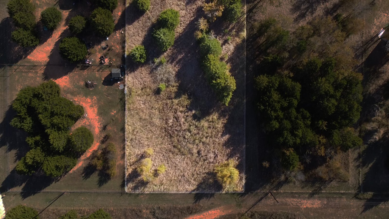 Shaded aerial perspective of the back portion of the unimproved lot at 1439 Cedar Mills Road, Gordonville, TX, emphasizing dense tree cover, lot boundaries, and the peaceful wooded setting.
