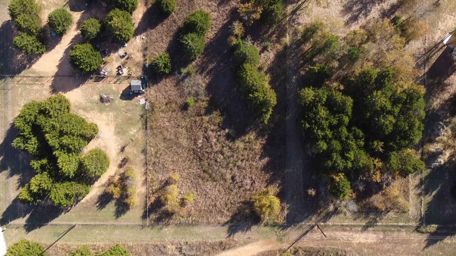 Overhead drone view of the rear section of the 1-acre lot at 1439 Cedar Mills Road in Gordonville, Texas, showing wooded coverage, natural brush, and the back boundary of the property.