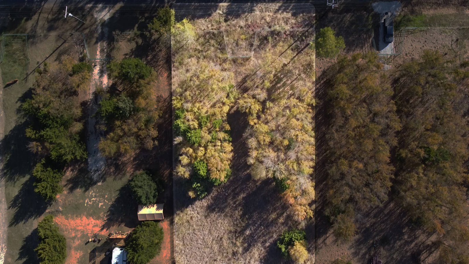 Aerial shaded view of the front section of the unimproved 1-acre lot at 1439 Cedar Mills Road, Gordonville, TX, highlighting tree coverage, property boundaries, and the lot’s relationship to the road frontage.