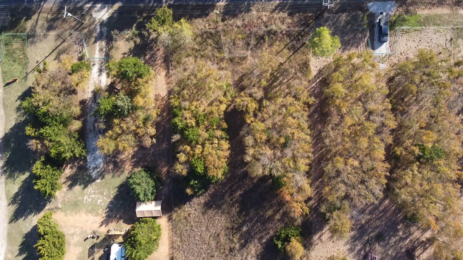 Overhead drone view of the front portion of the 1-acre lot at 1439 Cedar Mills Road in Gordonville, Texas, showing the road frontage, fenced boundary lines, and a mix of open ground and scattered trees near Lake Texoma.