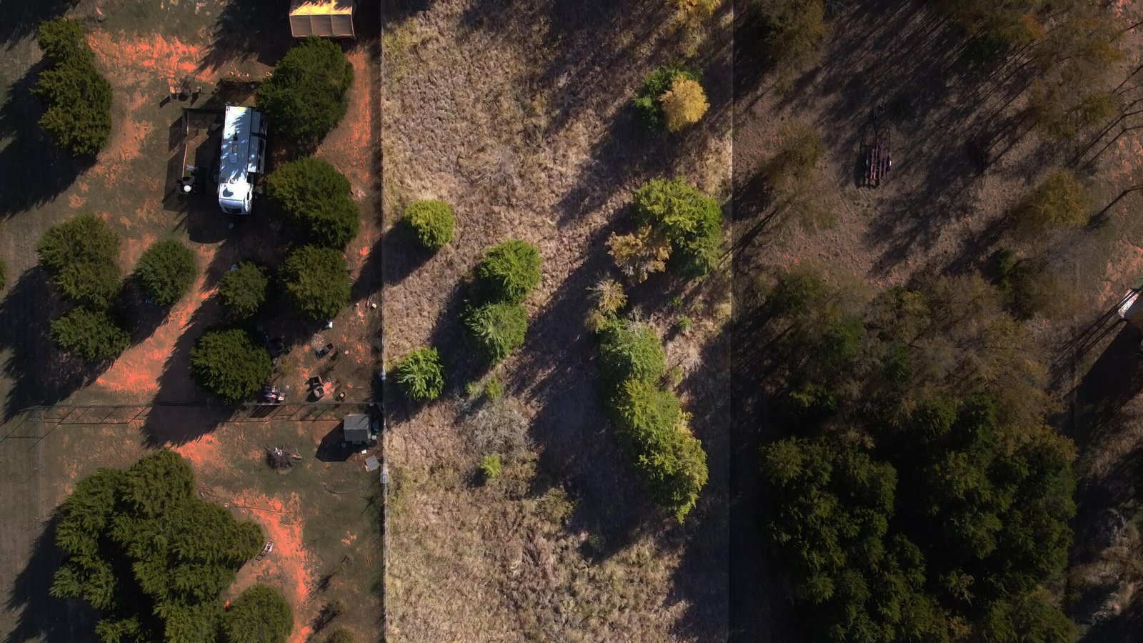Shaded aerial view of the center portion of the unimproved lot at 1439 Cedar Mills Road, Gordonville, TX, illustrating tree clusters, open ground, and defined property lines within the 1-acre parcel.