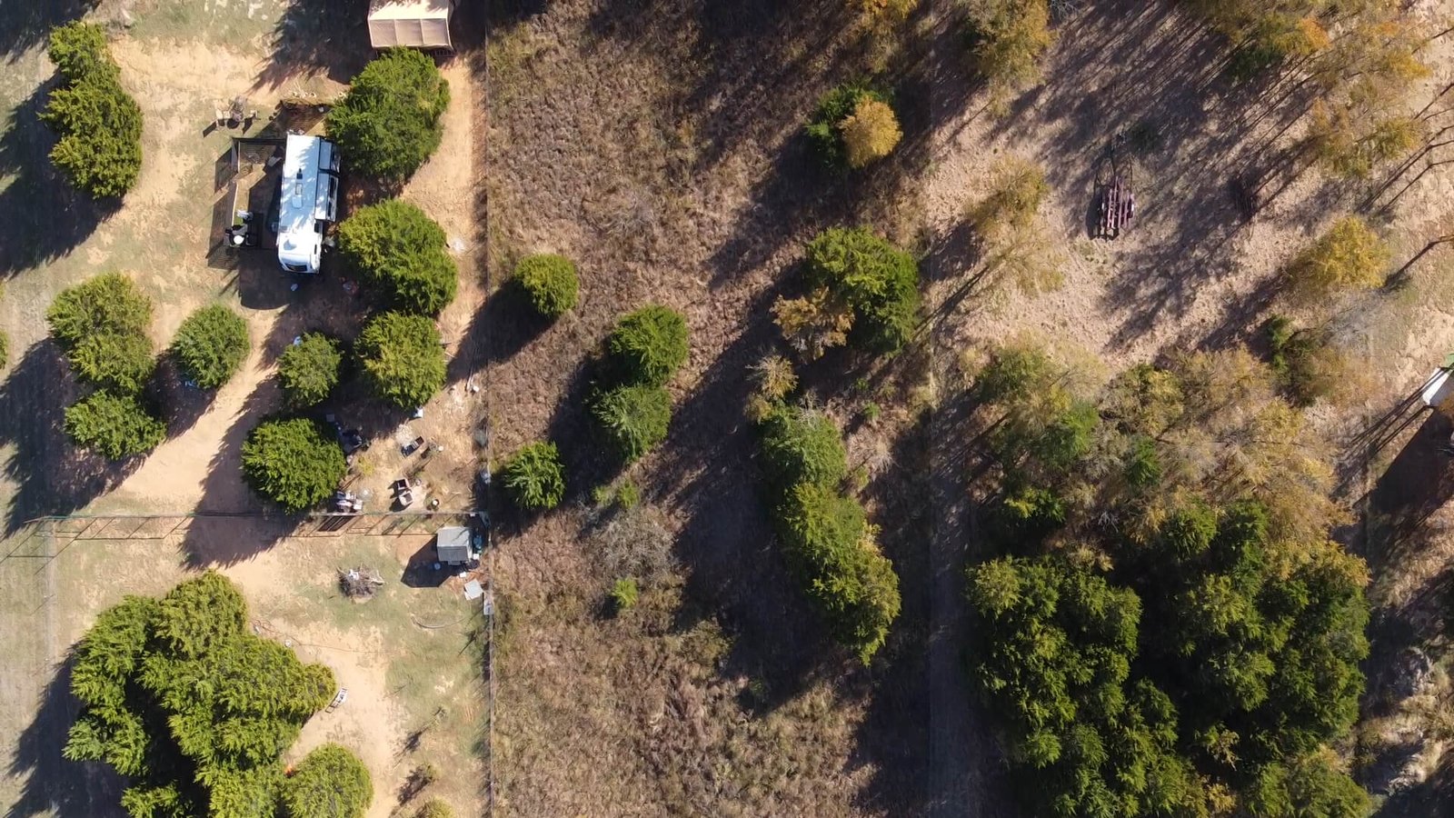 Top-down drone image of the middle section of the 1-acre lot at 1439 Cedar Mills Road in Gordonville, Texas, showing natural vegetation, partially cleared areas, and the rectangular layout of the property.