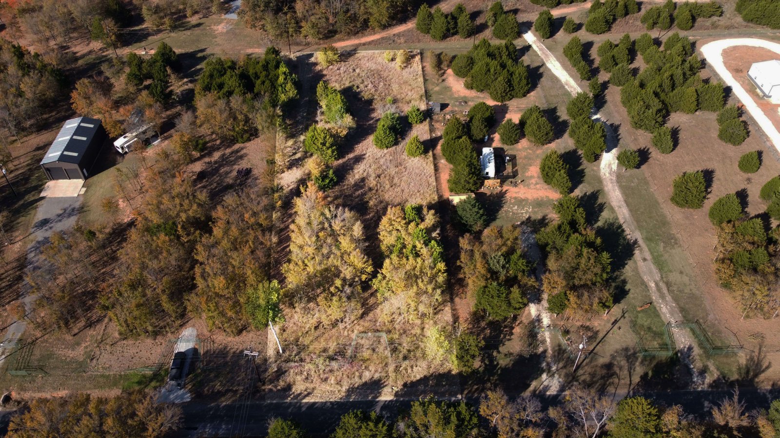 Overhead aerial image of the 1-acre lot at 1439 Cedar Mills Road, Gordonville, TX, with the property boundaries visually highlighted, showing the rectangular layout, mix of trees, and natural open areas.