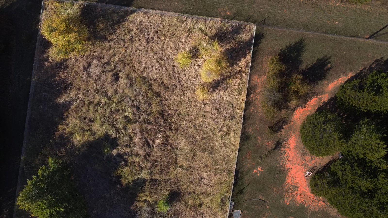 Shaded aerial view of the rear section of the 1-acre lot at 1439 Cedar Mills Road, Gordonville, TX, highlighting tree cover, native grasses, and the defined property line.