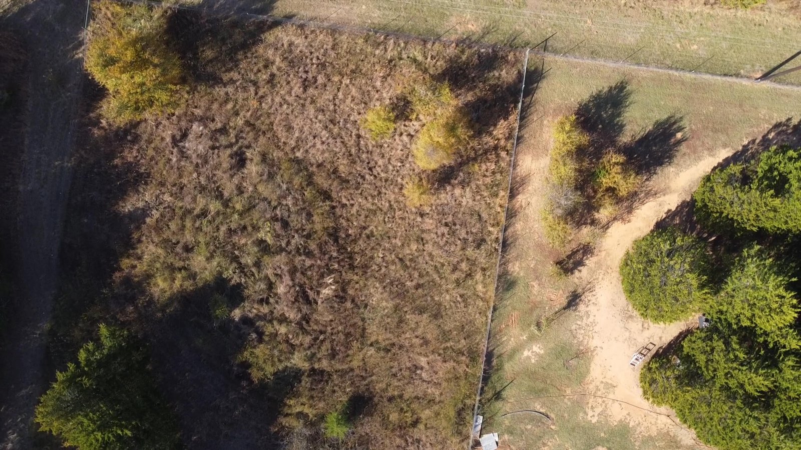 Drone view of the back portion of the unimproved lot at 1439 Cedar Mills Road in Gordonville, Texas, showing lightly wooded terrain, natural brush, and the rear boundary of the 1-acre property.