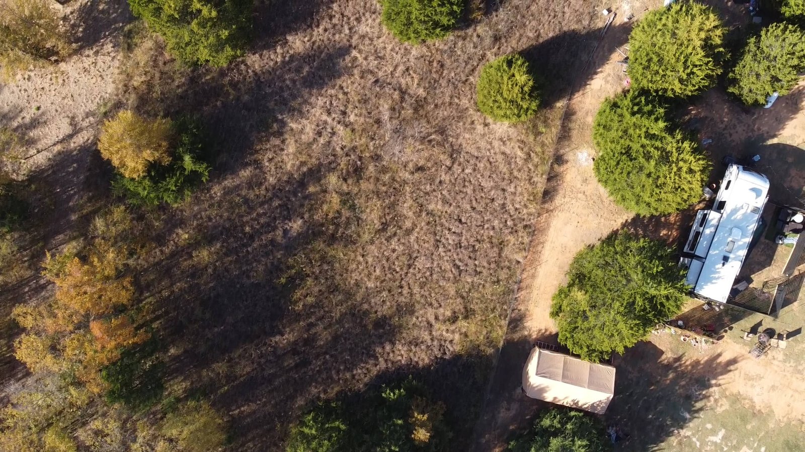 Drone image showing a clear open area within the 1-acre lot at 1439 Cedar Mills Road, Gordonville, Texas, located just beyond the initial tree line and suitable for potential building or recreational use.
