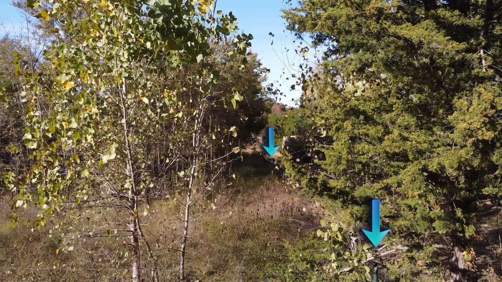 Aerial view of the eastern fence line marking the boundary of the 1-acre lot at 1439 Cedar Mills Road in Gordonville, Texas, showing mature trees, natural undergrowth, and boundary indicators within the wooded setting near Lake Texoma.