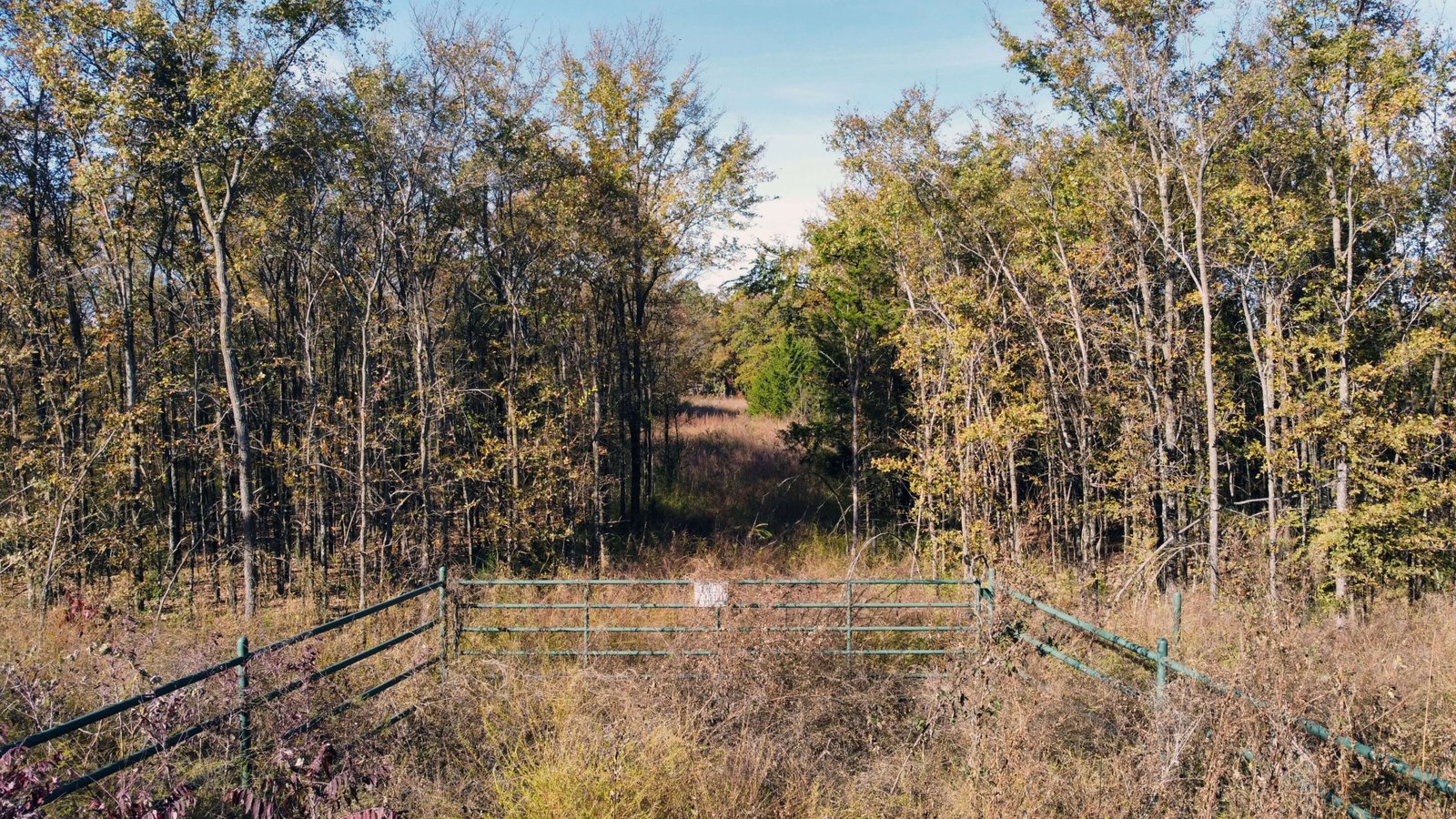 Front-facing view of the unimproved 1-acre lot at 1439 Cedar Mills Road in Gordonville, TX, showing barbed wire fencing, gated entry, and a grassy clearing leading into the wooded area.