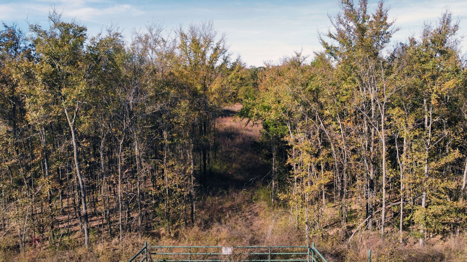 Aerial high view of the front of a fenced 1-acre lot in Gordonville, Texas near Lake Texoma, showing tree coverage, grassy clearing, and road frontage.