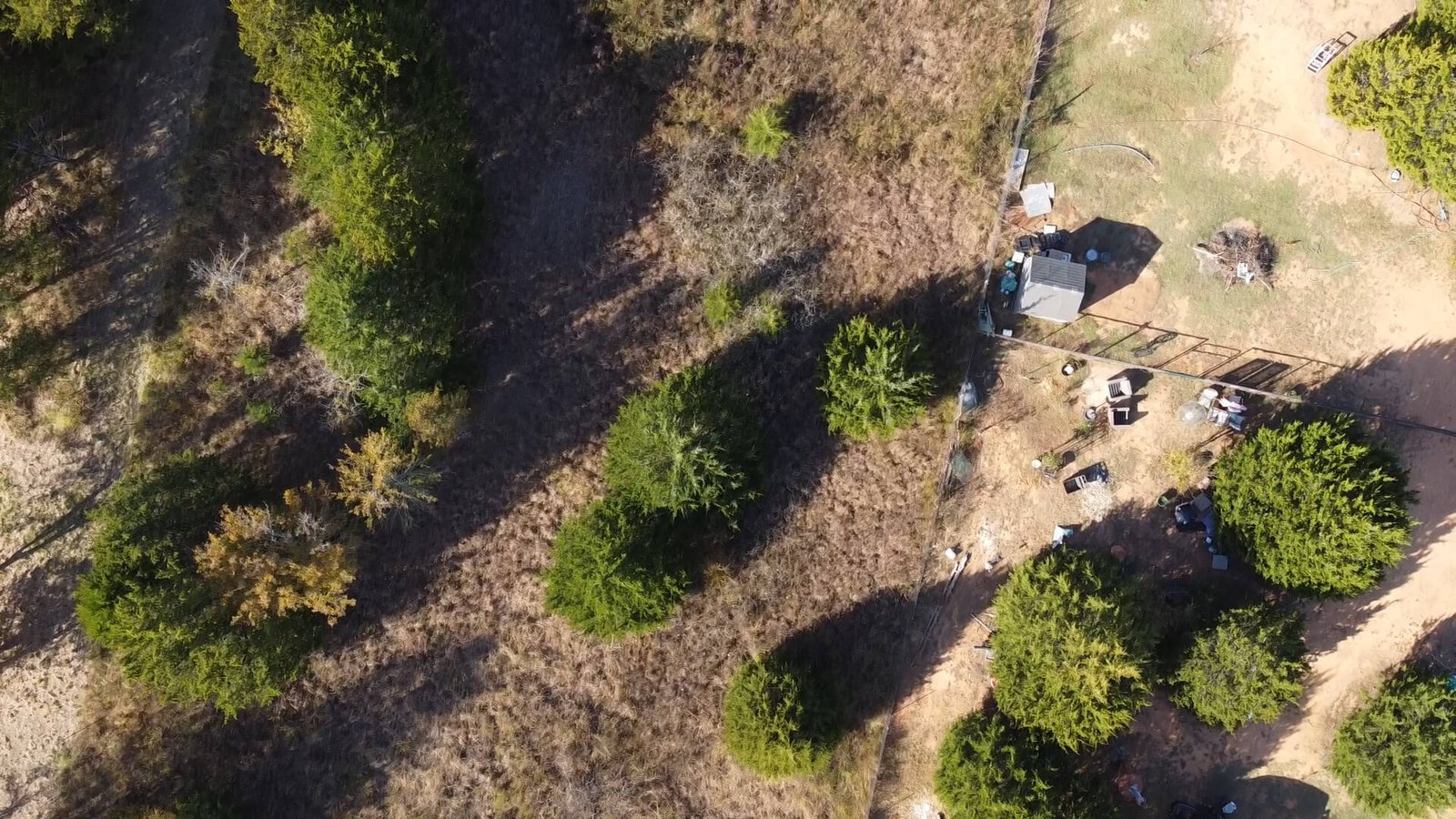 Aerial view of small tree grouping after a clear open area on a wooded 1-acre lot for sale near Lake Texoma in Gordonville, Texas.