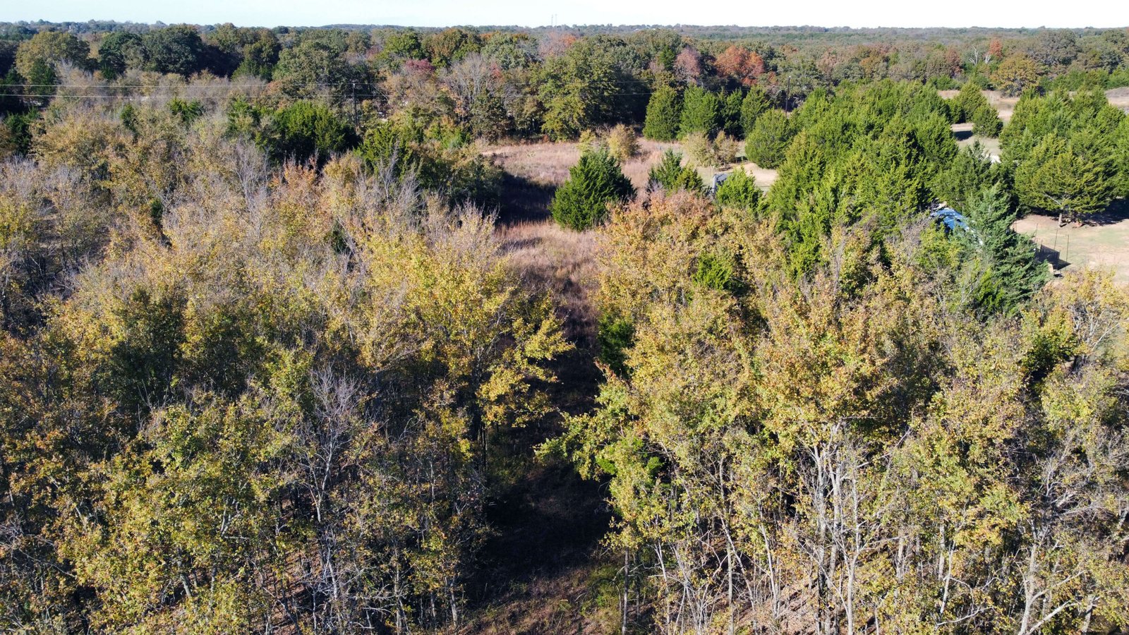 Top-down aerial view showing mature trees and natural vegetation on a rectangular 1-acre lot in Gordonville TX close to Lake Texoma.