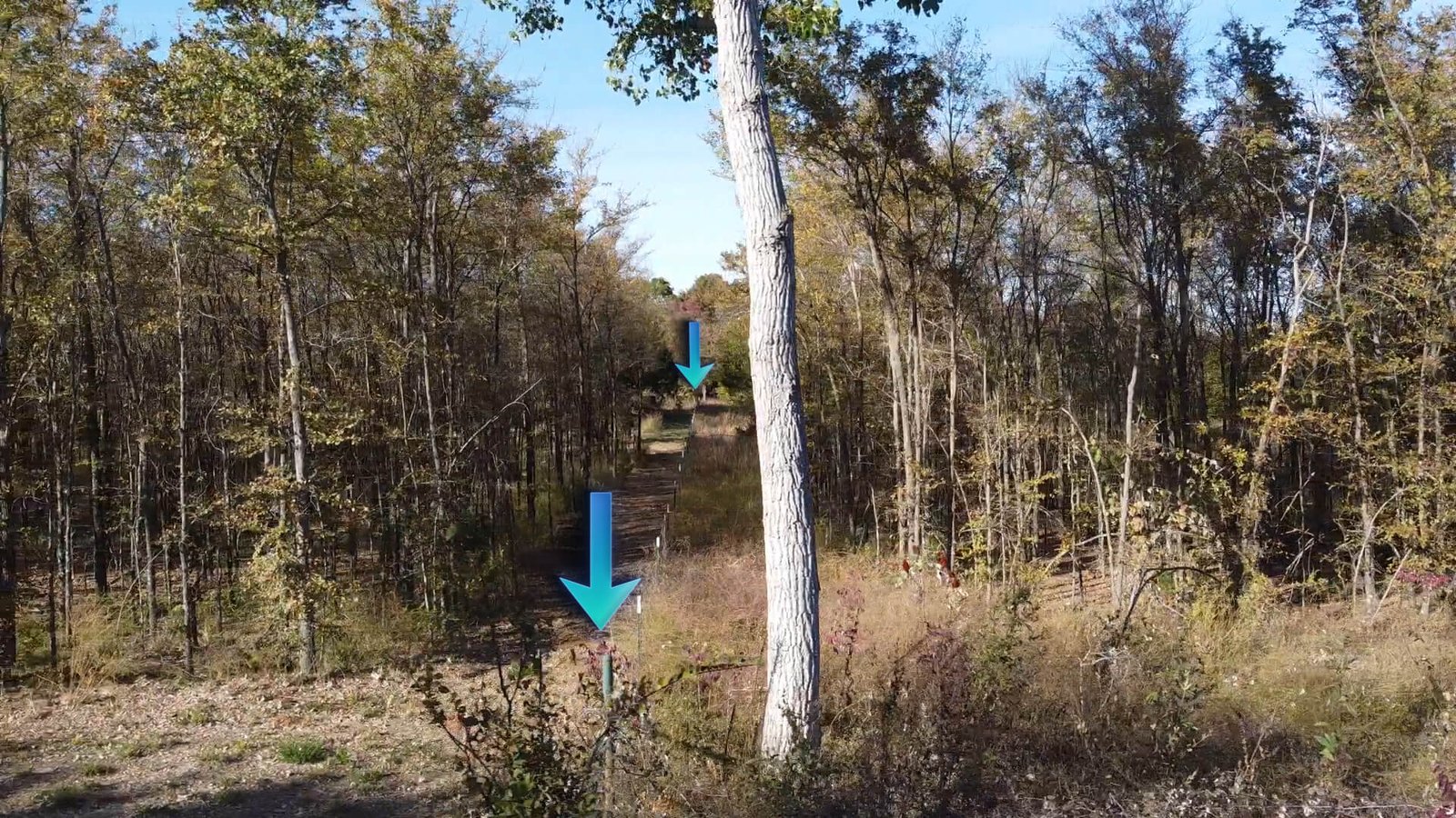 Western fence line of a 1-acre lot in Gordonville TX showing boundary fencing, natural vegetation, and adjacent wooded area near Lake Texoma.